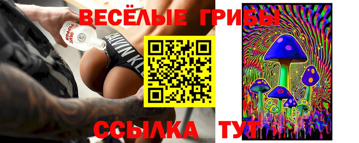 Псилоцибиновые грибы GOLDEN TEACHER  Вход с VPN  Владимир 